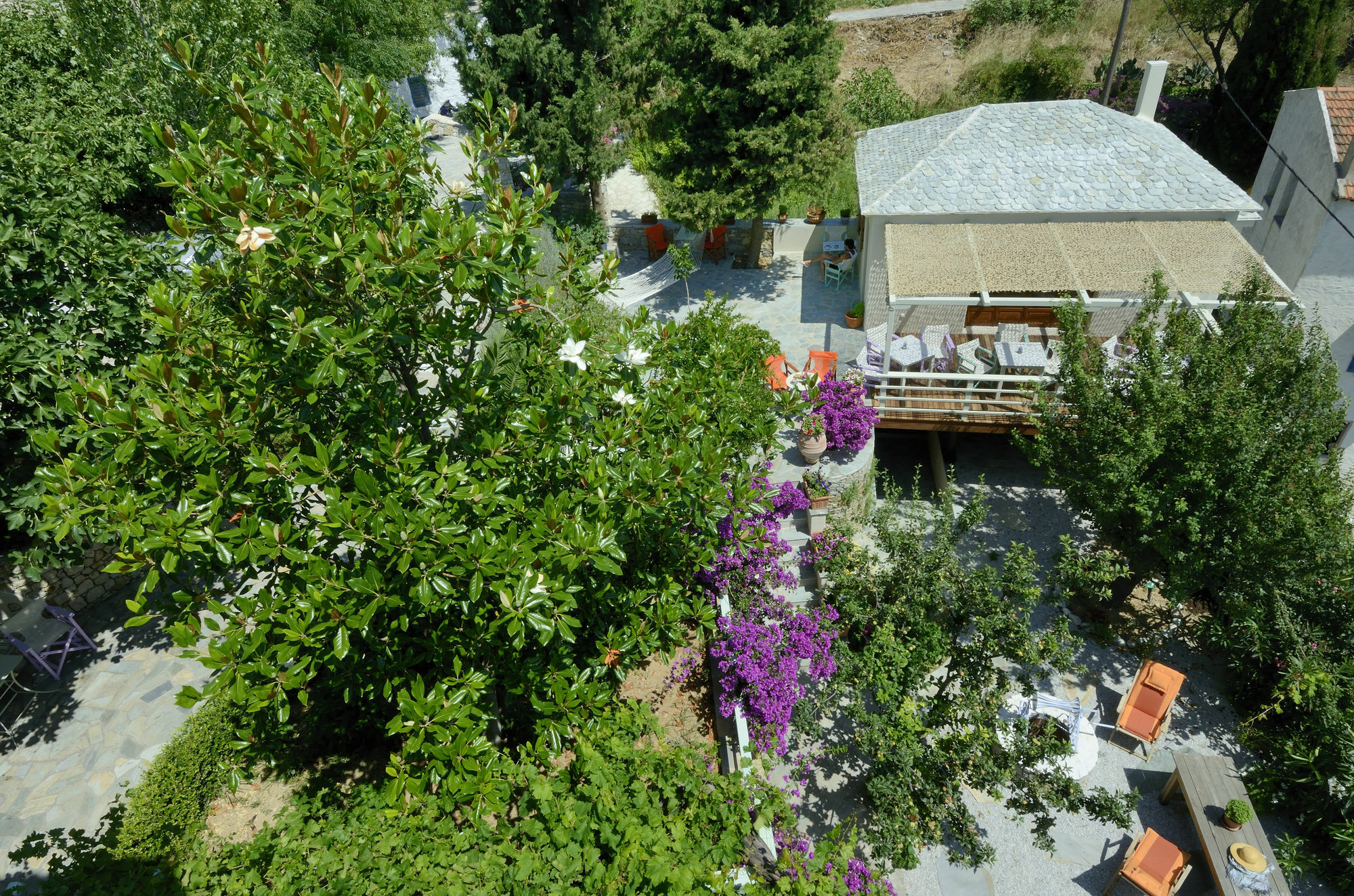 Konstantina Studios Alónnisos Buitenkant foto